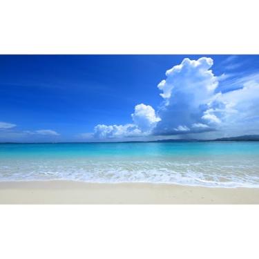 Imagem de Fundo de aquário de praia tropical, oceano, mar, areia, tanque de peixes, oceano, paisagem marítima, terrário, céu azul ensolarado, nuvens, litoral, oceano, ondas, oceano, réptil, tanque de réptil, 91