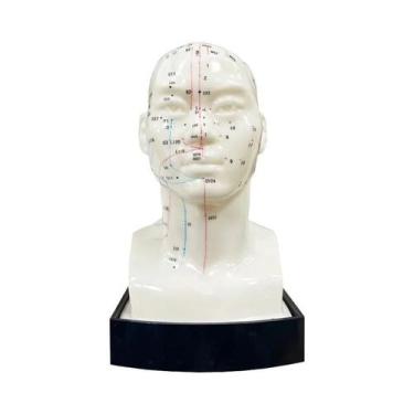Imagem de Modelo Profissional De Acupuntura Em PVC Em Tamanho Real Para Ensino D