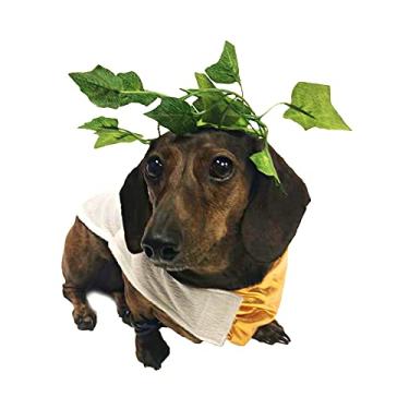 Imagem de Midlee Fantasia de Cão Toga (Médio)