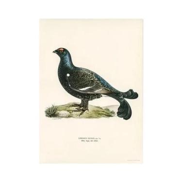 Imagem de Pintura Em Tela De Aves Retro, Arte Realista De Pássaro Cormorão, Deco