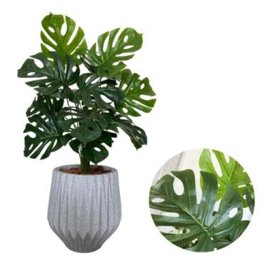 Imagem de Planta Artificial Costela de Adão Com Vaso Origami Completo - PlantaIm