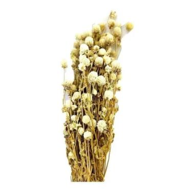 Imagem de Buque Flor De Perpétua Desidratada Seca Arranjo Decoração - FLORA FULL