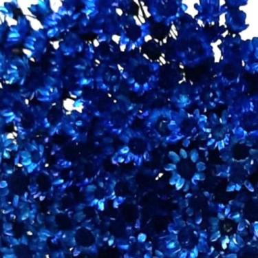 Imagem de 1000 Flores Sempre Vivas  COLORIDAS para casamentos e decoração - Viva