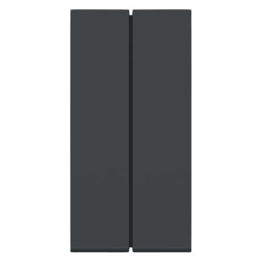 Imagem de Módulo Duplo Interruptor Simples 10A 250Vca Grafite Orion Cód. S70100194 – Schneider