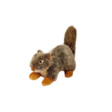 Imagem de Fluff and Tuff Nuts the Squirrel