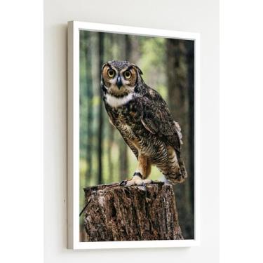 Imagem de Quadro Decorativo Foto Coruja Tronco Árvore - 70X50Cm - Quadros On-Lin