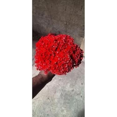 Imagem de Flor Sempre-Viva Natural Desidratada Kit 300 600 1200 Flores – Decoração Festa Casamento e Arranjos Artesanais (Vermelho,150 flores (1 buquê))