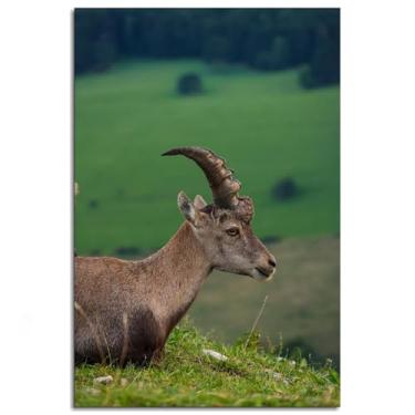 Imagem de Goat Wall Art Nature Canvas Prints Mountain Poster For Home Conjunto de 1 Decorações Noframed 30.5 cm x 20.3 cm