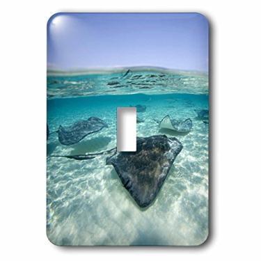Imagem de 3dRose lsp_73261_1 Ilhas Cayman, arraia do sul no mar do Caribe - Ca42 Pso0044 Capa para interruptor de luz Paul Souders