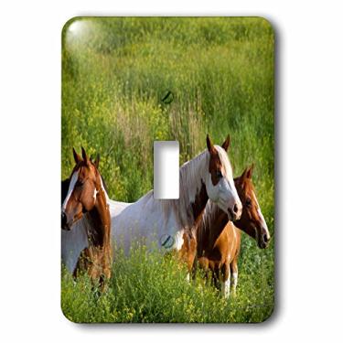 Imagem de 3dRose lsp_207261_1"Cavalos na colina interruptor único
