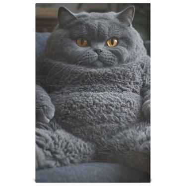Imagem de Joisal Chubby British Shorthair Toalhas de prato decorativas vintage cinza para cozinha toalhas de mão de chá fofas panos macios absorventes 45 x 71 cm, pacote com 6