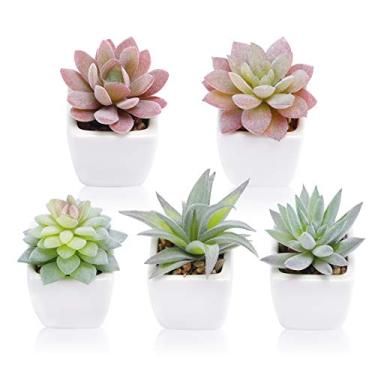 Imagem de FUNARTY Plantas suculentas artificiais em vasos, suculentas falsas em vasos pequenos, suculentas falsas, mini plantas falsas em vasos de cerâmica branca, conjunto de 5, plantas de mesa para decoração