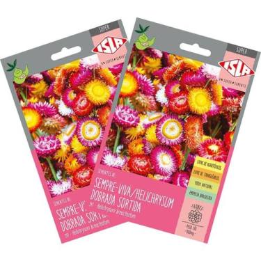 Imagem de 2X Sementes de Helichrysum Sempre-Viva (Sortida) Super ISLA