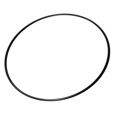 Imagem de Anel Oring Corpo Bomba 164,70X3,53MM 13040026 - Nautilus