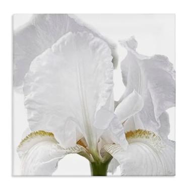 Imagem de Stupell Industries White Iris Close Up Canvas Wall Art Design por Nan, 43 x 43 cm