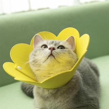 Imagem de Colar Elizabetano Gato Pet Caes Cirurgia Recuperaçao Cone Ajustavel Do