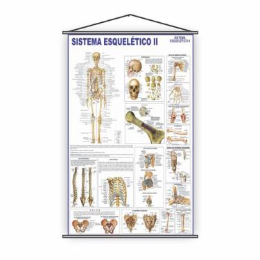 Imagem de Banner Escolar Pedagógico Sistema Esquelético ll 120x65cm - PlimShop