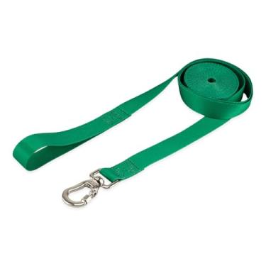 Imagem de Basic Pet Coleira Guia 10 Metros Para Cães Cachorro Adestramento Passeio Porte Grande Médio Pequeno (Verde, P)