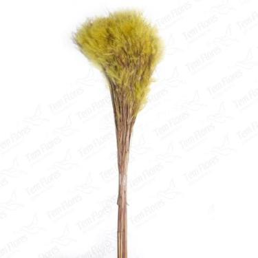 Imagem de Pluminha Flor Desidratada Variações Natural - Pense Flores, Amarelo