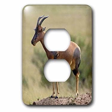 Imagem de 3dRose Lsp_69804_6 antílope Topi, montagem em cupins, Masai Mara GR, tampa de tomada Kenya
