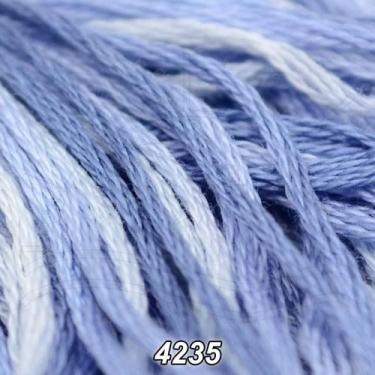 Imagem de Linha DMC Color Variations 8m, 4235