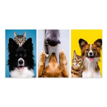 Imagem de Kit 3 Quadros Decorativos Pet Shop Gato Cachorro Placas Mdf