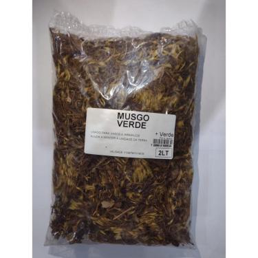 Imagem de Musgo Verde Natural 2L para Arranjos Artificiais e Naturais Complemento de Decoração Mais Verde