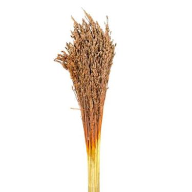 Imagem de Buquê Flor De Vassoura Cores Natural Arranjo Decoração Festa - Flora F