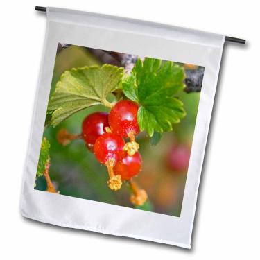 Imagem de 3dRose fl_83416_1 Groselha de cera, Groselha, Correntes de cera selvagem, Flora-NA01 FZU0013-Frank Zurey Bandeira de jardim, 30 x 45 cm