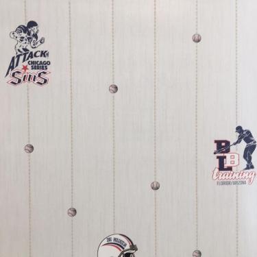 Imagem de Papel De Parede All Kids Linha Esportiva H2910404 Rolo 10m X 0,53m
