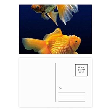 Imagem de Conjunto de cartões postais de aniversário com imagens da natureza Ocean Fish Science