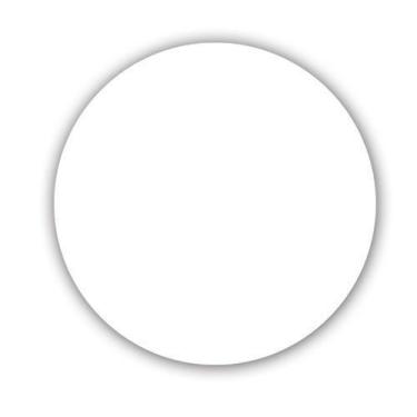 Imagem de 30 Etiquetas Adesivas REDONDA Branca - Premium