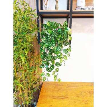 Imagem de Arranjo com vaso planta folhagem verde pendentes trepadeiras folhas ar