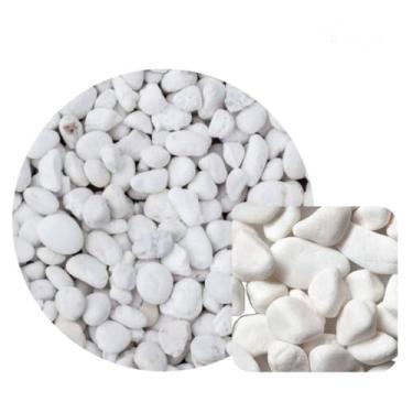 Imagem de Pedra Branca Dolomita Para Decoração de Vaso Jardim Ornamentais N°4(6KG)