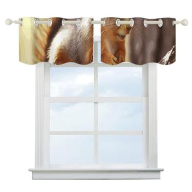 Imagem de Cortina blackout de esquilo engraçada, escurecimento de quarto, cortinas de janela curtas, isolamento térmico, para cozinha, sala de jantar, quarto, 2 painéis 132 x 46 cm