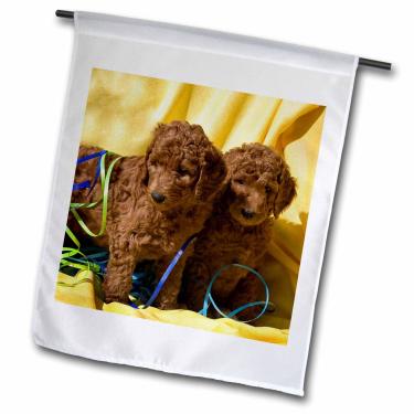 Imagem de 3dRose fl_192316_1"Filhotes poodle padrão EUA Califórnia com fundo amarelo bandeira de jardim, 30 x 45