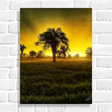 Imagem de Quadro Decorativo Anoitecer no Cerrado (Coleção Originais do Brasil) -