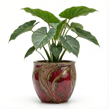 Imagem de Genérico Vaso Quadrado para Uso Interno, Tamanho P, Azul, Vidro Fumê, Decorativo, Formato Quadrado, Vaso de Chão, Vaso de Plantas, 15 x 12 x 11 cm