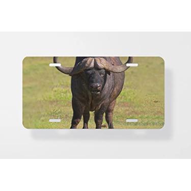 Imagem de Capa para placa de licença Cape Buffalo – Capa para placa de carro – Capa para placa de carro 15 x 30 cm