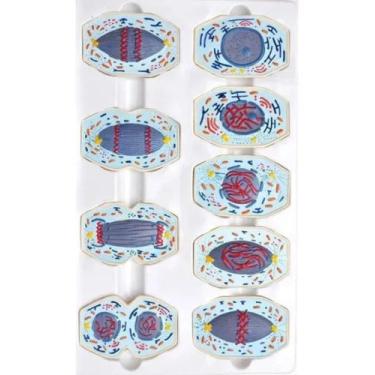 Imagem de Meiose Em 10 Fases - Modelo Anatômico - PRECISION