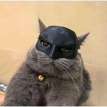 Imagem de Chapéu para gato, máscara de cosplay de animais de estimação, fantasia de Halloween para gatos