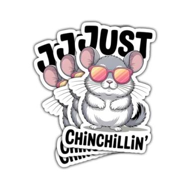 Imagem de Adesivo de chinchila de óculos de sol Just Chinchilin, decalque de vinil fofo e engraçado para donos de chinchila, adolescentes, adultos, crianças, fãs de animais, laptop, carro, caderno, Hydro Flask