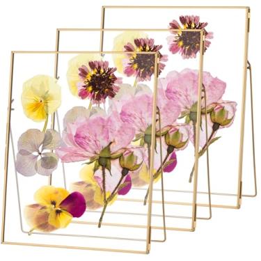 Imagem de Vicenpal Pacote com 3 molduras de flores prensadas à mão, 20 x 25 molduras flutuantes para flores prensadas, vidro duplo de latão para exibição de mesa, espécime de planta de escritório em casa, fotos