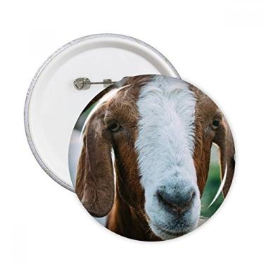 Imagem de Broche redondo para fotografia de animais de ovelhas e organismo terrestre com emblema de botão, decoração de acessórios, 5 peças