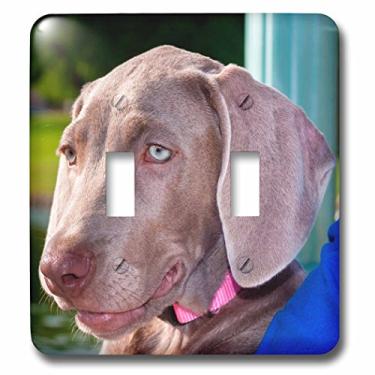 Imagem de 3dRose Interruptor duplo para retrato de filhote de cachorro Weimaraner lsp_206583_2