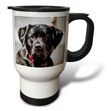 Imagem de 3dRose Black Lab Caneca para viagem com foto Labrador Labrador Labrador Retriever, 400 ml, aço inoxidável, branca