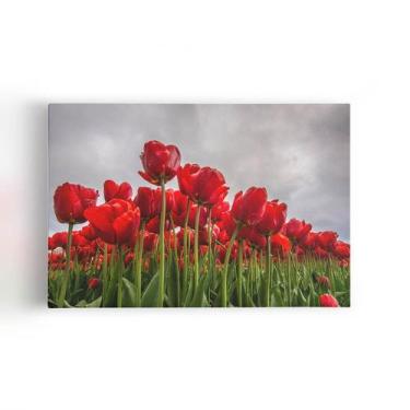 Imagem de Quadro Plantação De Rosas Vermelhas Flores Canvas 60X40Cm - Plimshop