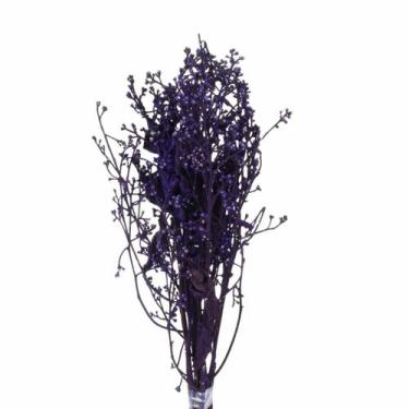 Imagem de Dedo De Anjo Roxo Flor Desidratada Buque Flores Secas - Pense Flores