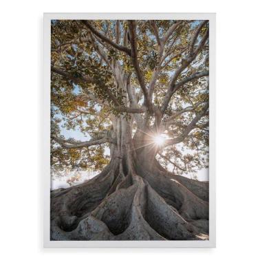 Imagem de Quadro Decorativo Raízes - Árvore 24X18Cm