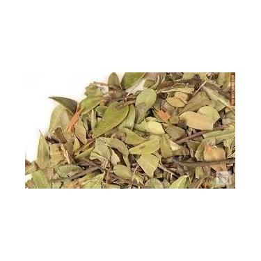Imagem de Chá de Uva Ursi - Arotostaphylos Uva Ursi 100g - no-brand